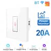 Energy Monitoring Smart Ac And Water Heater Switch Wifi - 20a White - Tuya